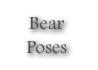 Bear
Poses